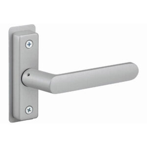 Silver door handle mounted on rectangular plate.