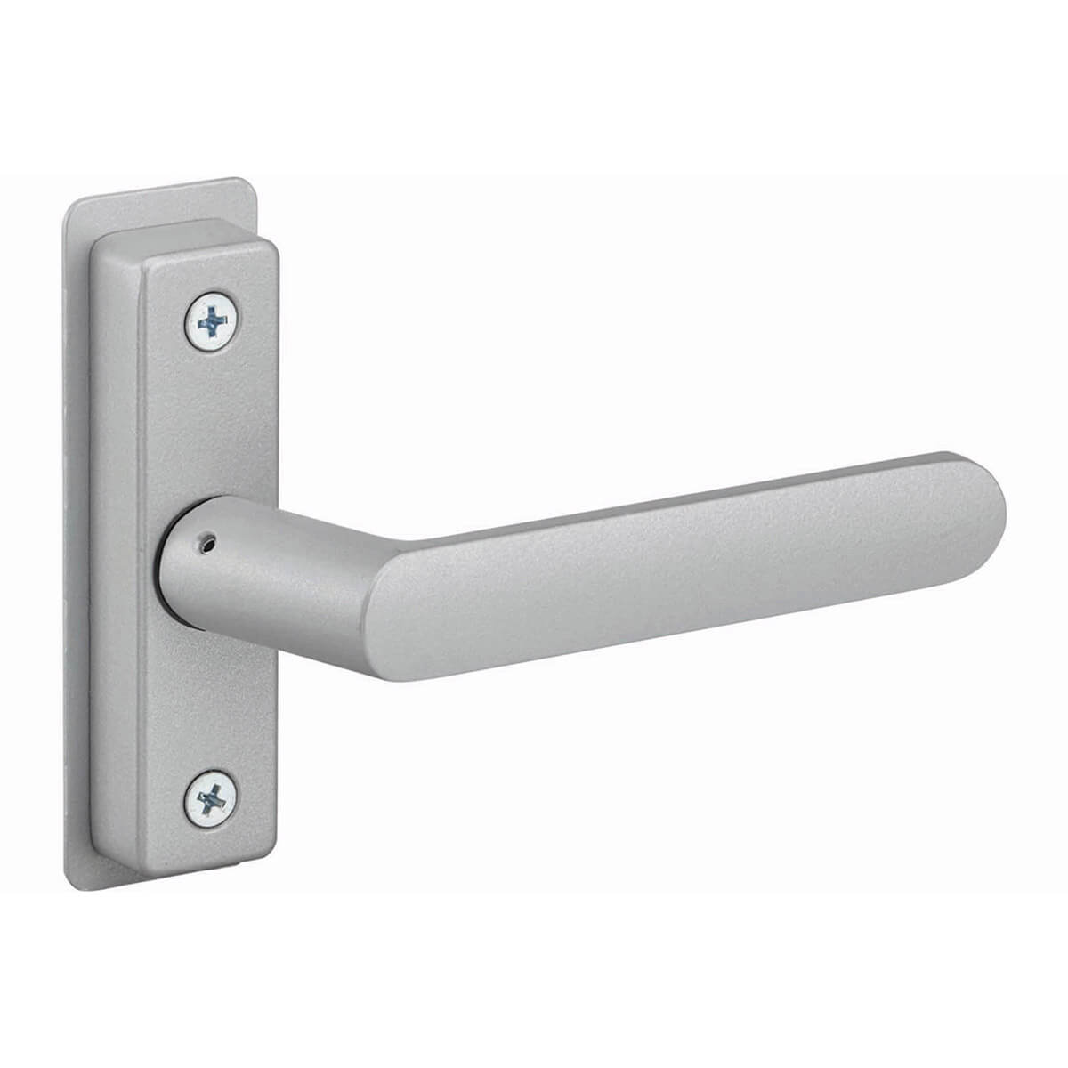 Silver door handle with rectangular backplate attached.