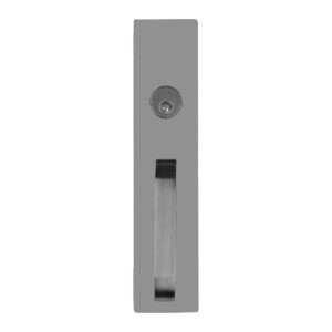 Gray door handle with a circular lock.